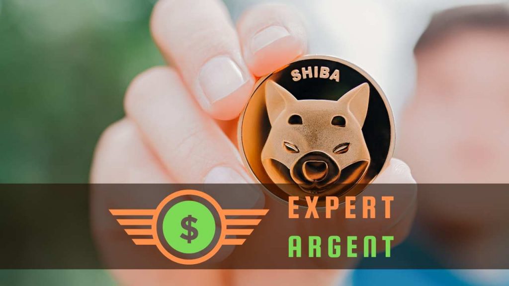 Shiba Inu